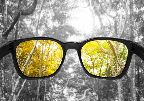 Fototapet Glasses with forest, selected focus on lens,  colour blindness glasses