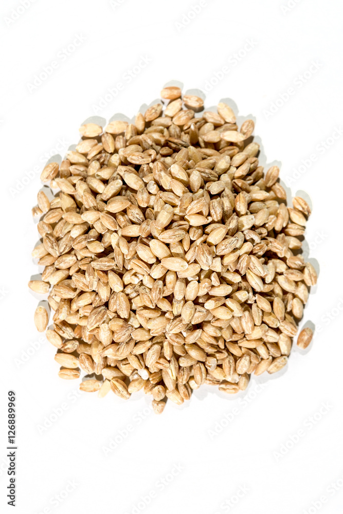 Organic barley grains isolated on white Organic barley grains isolated on white