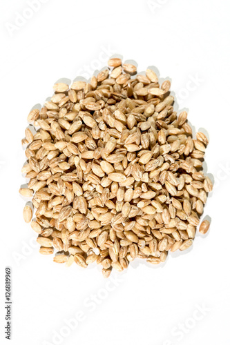 Organic barley grains isolated on white