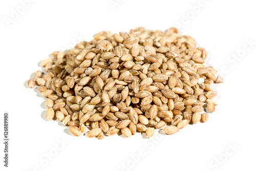 Organic barley grains  isolated on white