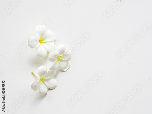 Frangipani plumeria Spa Flower on white wooden, soft focus