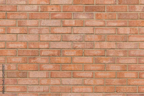 Orange brick wall for a background.
