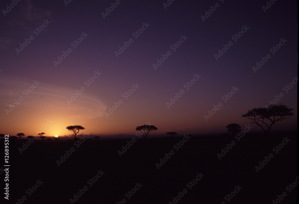ケニアの空　サバンナ　夕日　日の出　日の入り　夕暮れ　夜明け　アフリカ　地平線