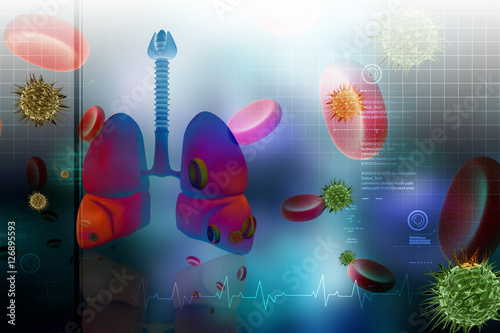 Human lungs with platelets photo
