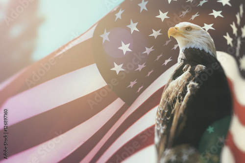 American Bald Eagle Flag Patriotism. Bald Eagle, symbol of American freedom, perched in front of an American flag. United States of America patriotic symbols.