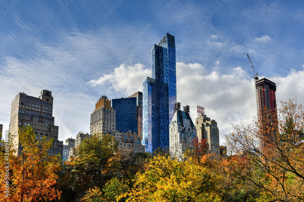 Obraz premium Central Park South