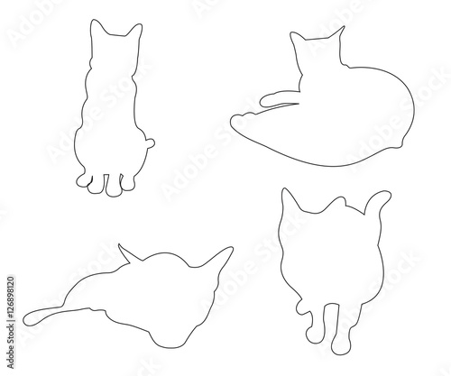 Vector paths of Cats set on...