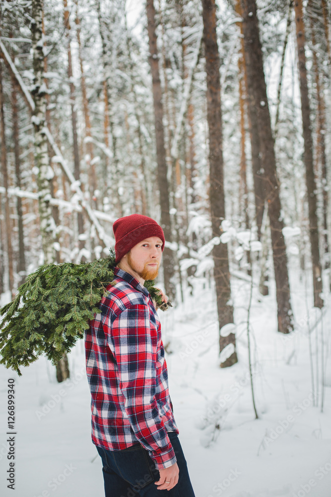 man in shirt carries the tree branches in the woods