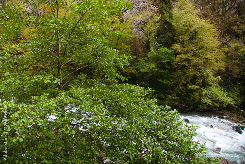 Abkhazia Nature