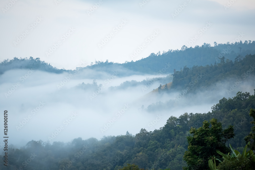 mountain view with fog