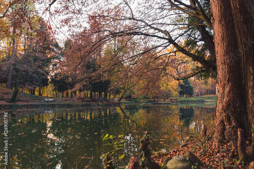 Quiet lake and colorful woods in autumn at sunset