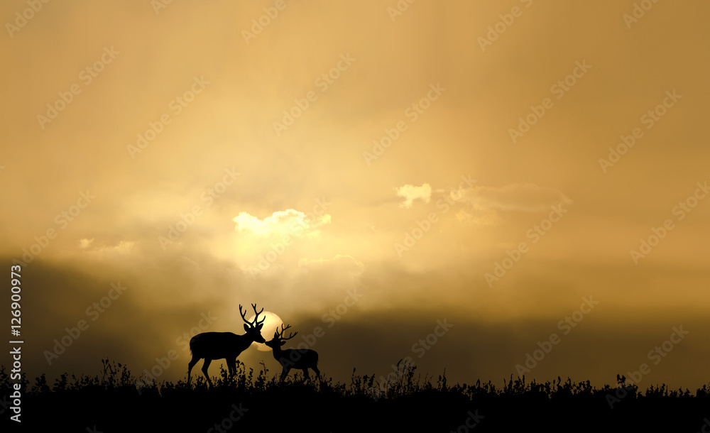sunset background with deers silhouettes