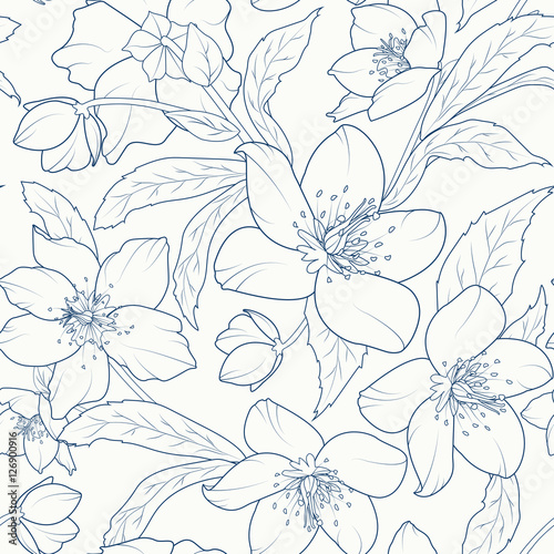 Blooming hellebore flowers seamless pattern. Christmas rose. Lenten rose. Winter rose. Helleborus niger. Detailed sketch drawing. Dark blue on white background.