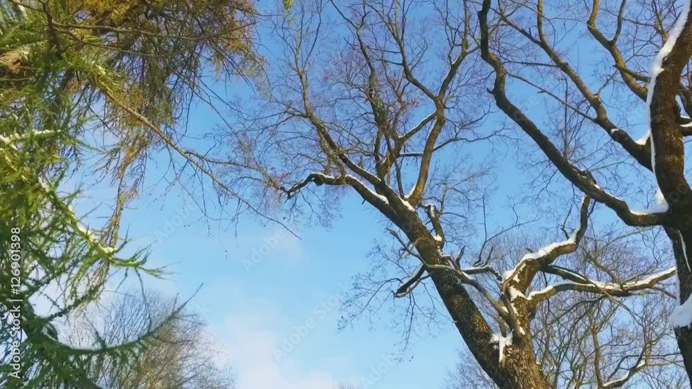 Walk along the city covered with snow. Trees and buildings covered by snow at winter day. Sunny winter day. City landscape. Steadicam footage. Walk along the city covered with snow. Trees and buildings covered by snow at winter day. Sunny winter day. City landscape. Steadicam footage.