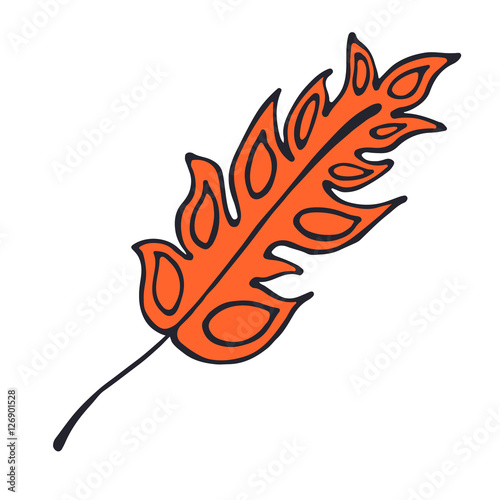 Vector hand drawn illustration, decorative ornamental stylized feather.  Red graphic illustration isolated on the white background. Inc drawing silhouette.