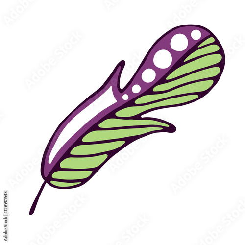 Vector hand drawn illustration, decorative ornamental stylized feather. Colorful  graphic illustration isolated on the white background. Inc drawing silhouette.