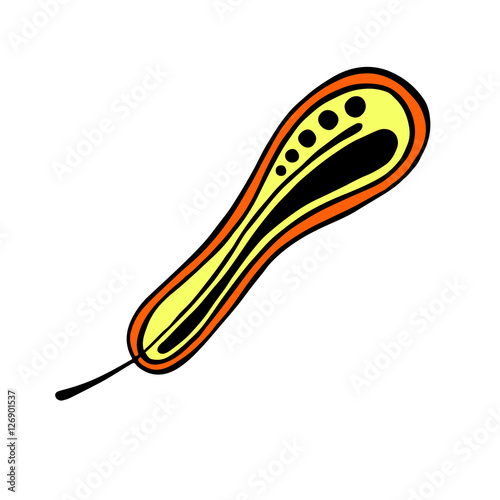 Vector hand drawn illustration, decorative ornamental stylized feather. Colorful  graphic illustration isolated on the white background. Inc drawing silhouette.