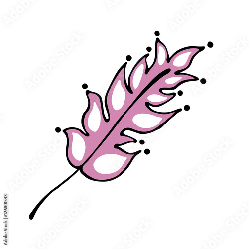 Vector hand drawn illustration, decorative ornamental stylized feather.  Pink graphic illustration isolated on the white background. Inc drawing silhouette.