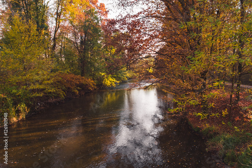 Quiet river and woods with trees and colorful leaves at autumn