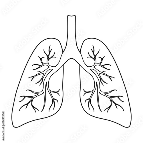 Lungs icon in outline style isolated on white background. Organs symbol stock vector illustration.