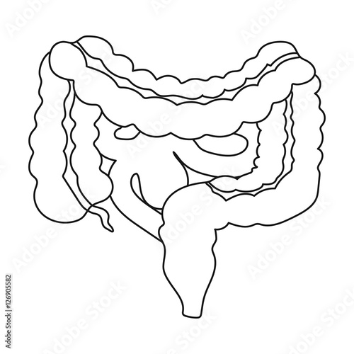 Gastrointestinal tract icon in outline style isolated on white background. Organs symbol stock vector illustration.