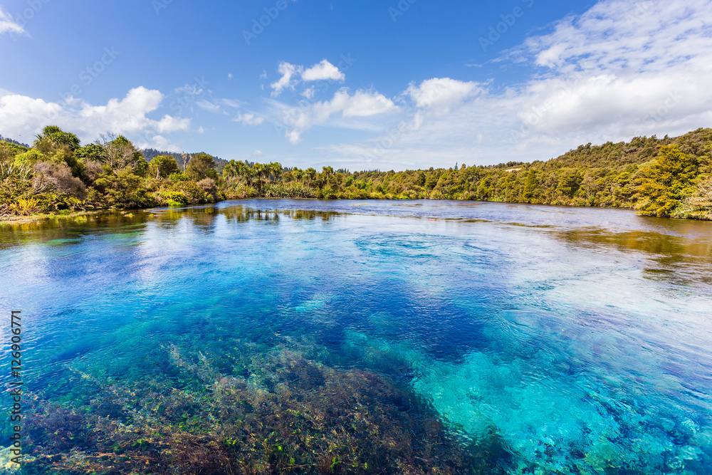 Pupu Spring/te waikoropupu springs in New Zealand Stock Photo Adobe Stock