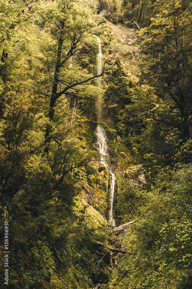Fototapeta premium Waterfall in New zealand forest