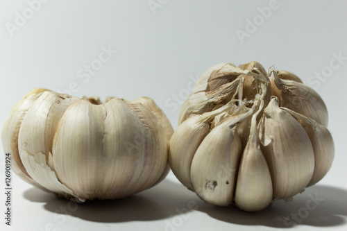 White Garlic in White Background