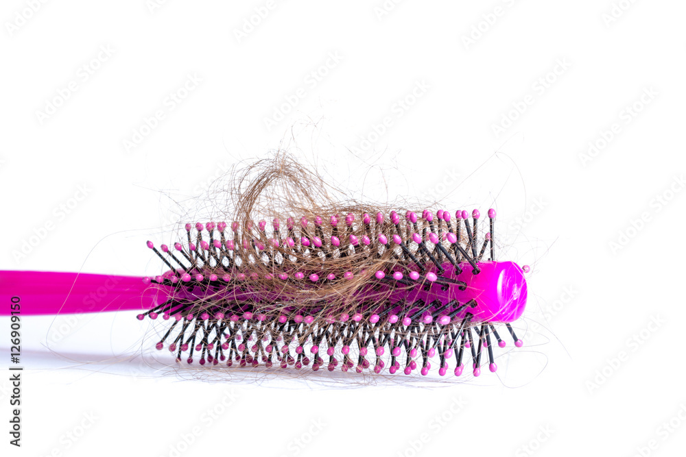 Comb hair with tufts, bundle of hair, lots of hair on the hairbrush close up on a white background Comb hair with tufts, bundle of hair, lots of hair on the hairbrush close up on a white background