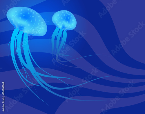jellyfish underwater