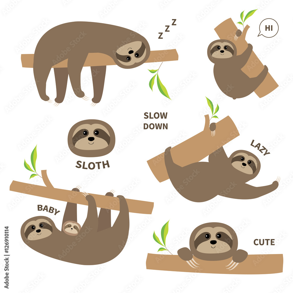 Sloth Set Mother With Baby Cute Lazy Cartoon Kawaii Character Slow Down Text Tree Branch Wild Joungle Animal Collection Isolated White Background Flat Design Stock Vector Adobe Stock Sloth Set Mother With Baby Cute Lazy Cartoon Kawaii Character Slow Down Text Tree Branch Wild Joungle Animal Collection Isolated White Background Flat Design Stock Vector Adobe Stock
