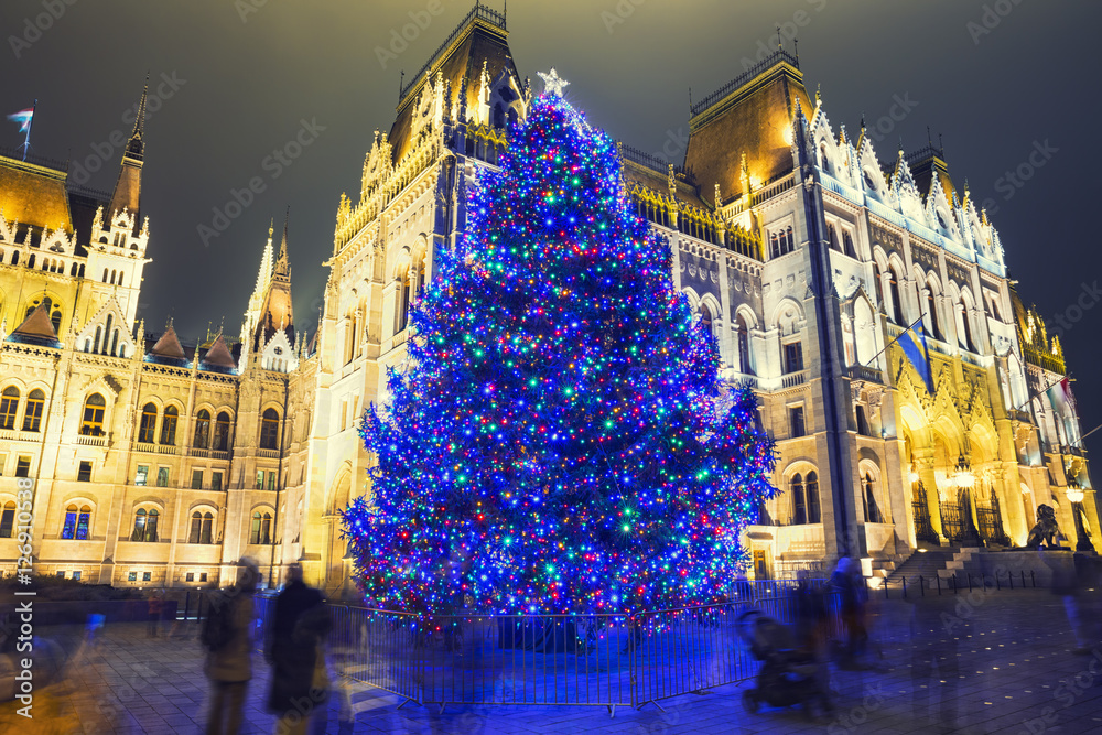 Fototapeta premium Choinka przed budynkiem Parlamentu, przy placu Kossuth