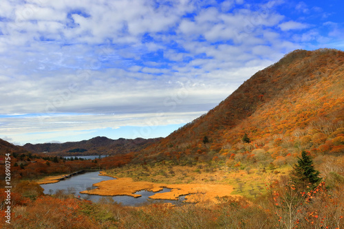 赤城山の覚満淵