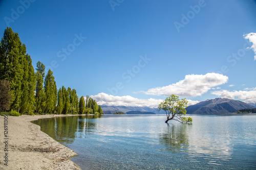 A beautiful sunny weather with The Wanaka Tree, Lake Wanaka, Wan
