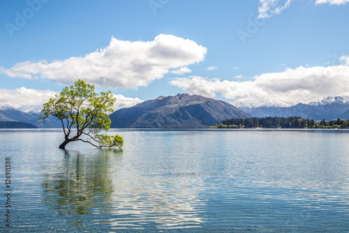 A beautiful sunny weather with The Wanaka Tree, Lake Wanaka, Wan