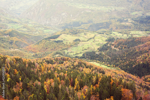 Autumn on mountain Tara Serbia