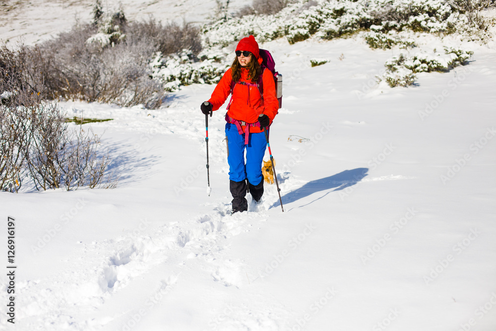 Girl with dog in winter mountains.