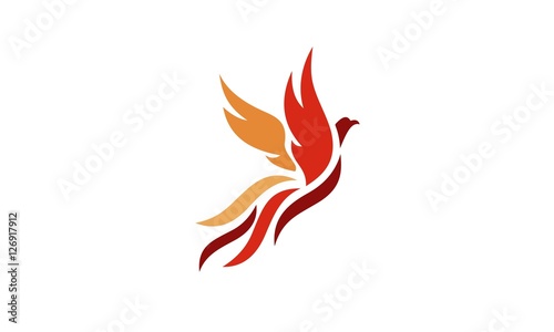 Phoenix, Fire-bird, flat design