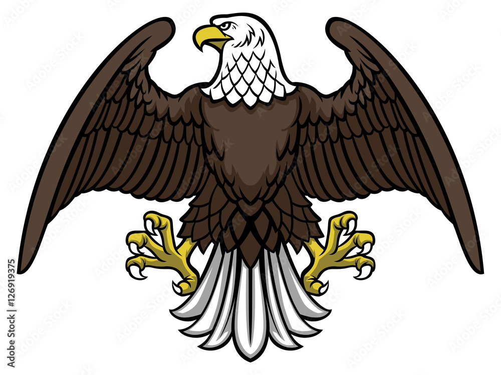 Obraz premium bald eagle spread the wing