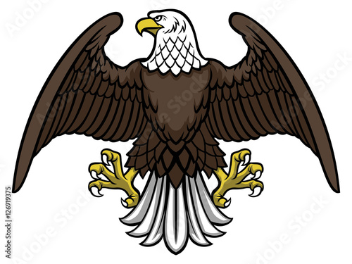 bald eagle spread the wing
