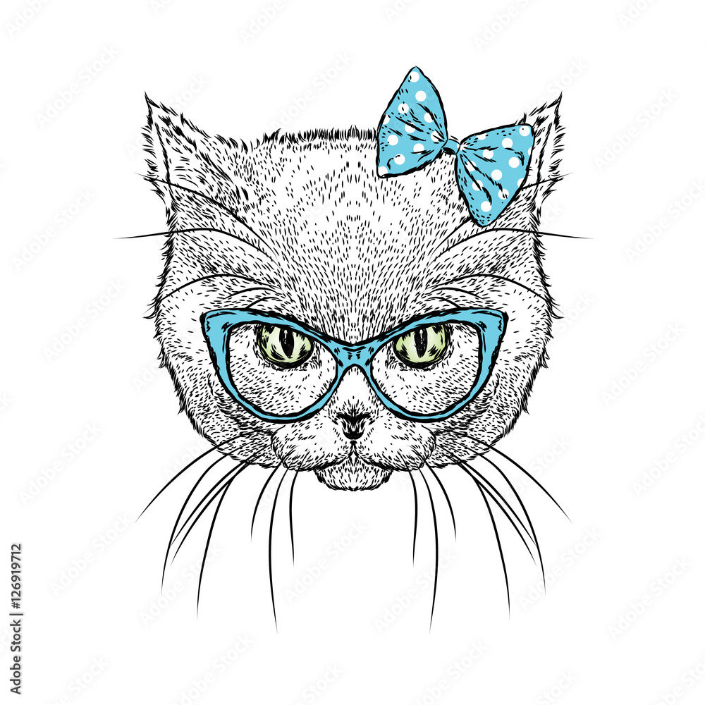 Cute kitten wearing glasses and a bow. Vector illustration. Drawing for greeting cards, prints on clothes or poster. Girl. Cute kitten wearing glasses and a bow. Vector illustration. Drawing for greeting cards, prints on clothes or poster. Girl.