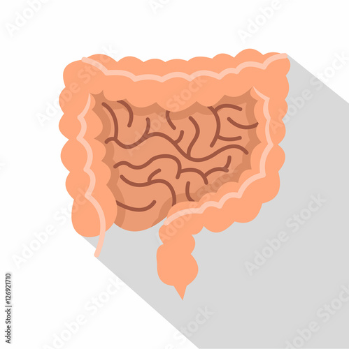 Intestines icon. Flat illustration of intestines vector icon for web