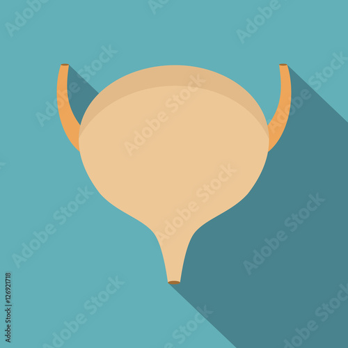 Bladder icon. Flat illustration of bladder vector icon for web