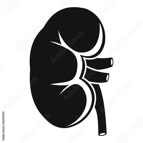 Kidney icon. Simple illustration of kidney vector icon for web