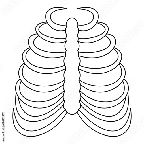 Rib cage icon. Outline illustration of rib cage vector icon for web