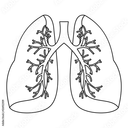 Lungs icon. Outline illustration of lungs vector icon for web