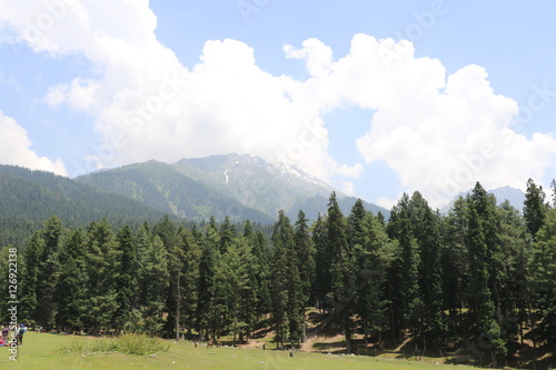 The beauty of the Pahalgam Valley in Jammu & Kashmir in summer. 