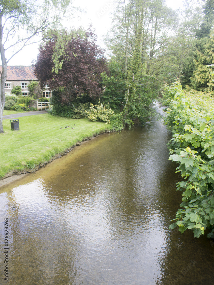 Fototapeta premium River on a summers day