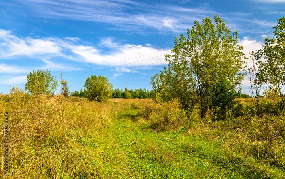 Typical rural landscape of Kursk region, Russia