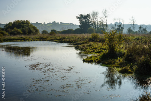 F, Bretagne, Finistère, In den Sümpfen von Curnic